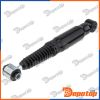 Amortisseur de suspension arrière pour CITROËN | A-CT-019, 40-267250010